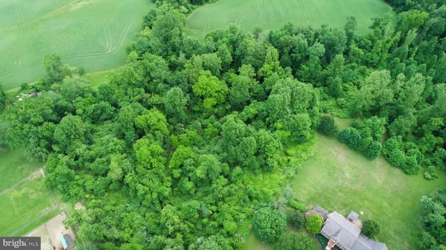 a backyard of a house with lots of green space and a fountain