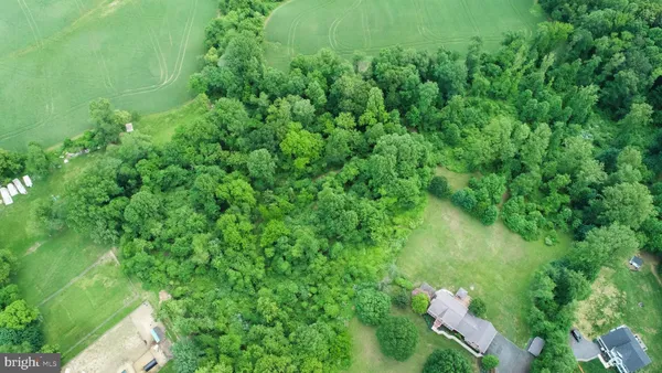 a backyard of a house with lots of green space and trees all around