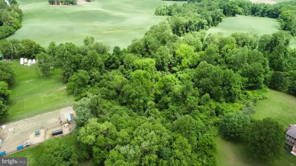 a view of a lush green space next to a lake view