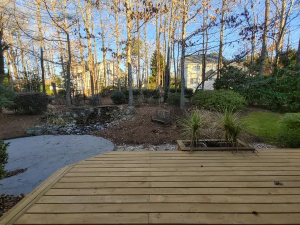 a view of a yard with plants and large trees