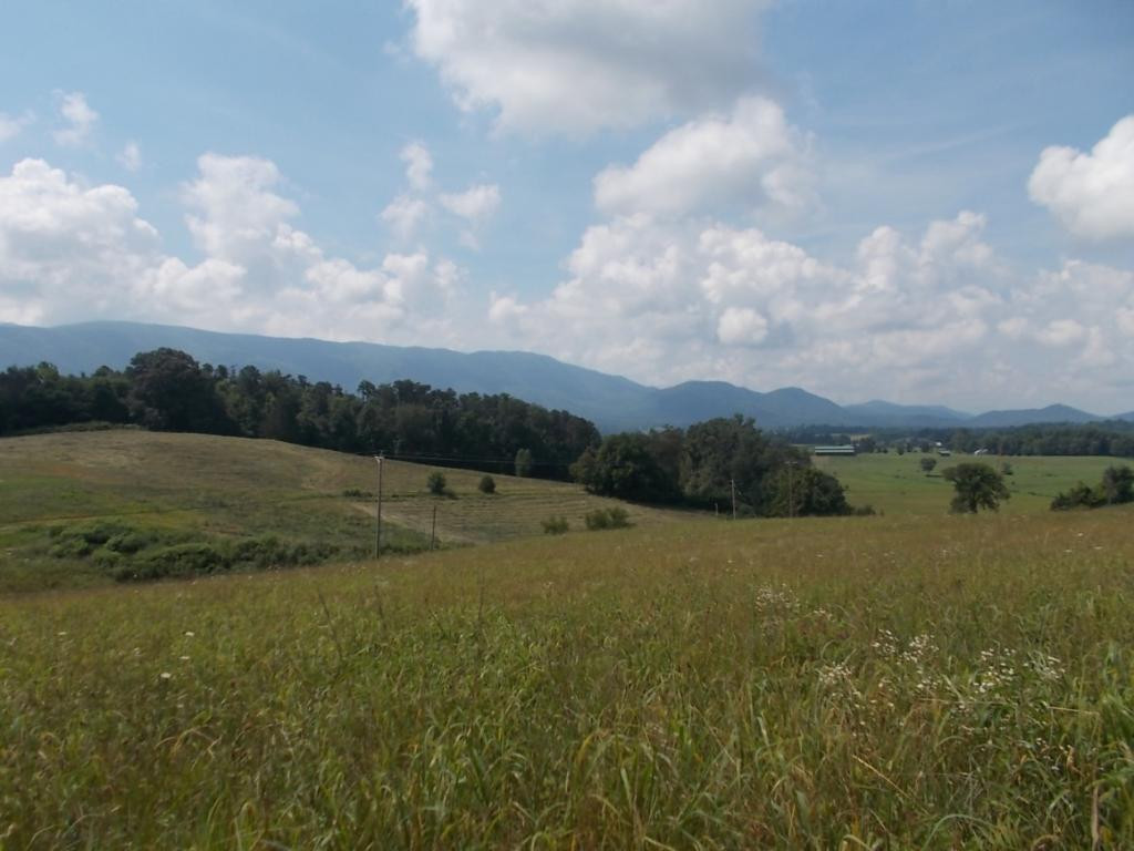 0 Greystone Road, Unit 1424 Greeneville, TN 37743 - Photo 2 of 9 Photo 2