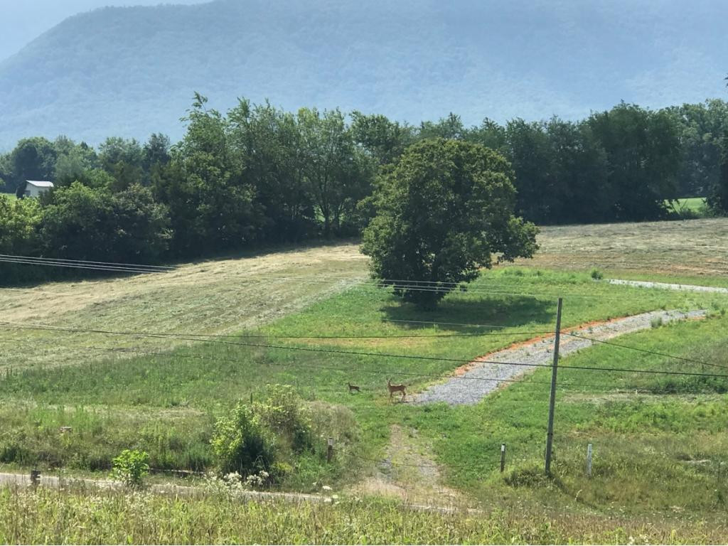 0 Greystone Road, Unit 1424 Greeneville, TN 37743 - Photo 5 of 9 looking across road