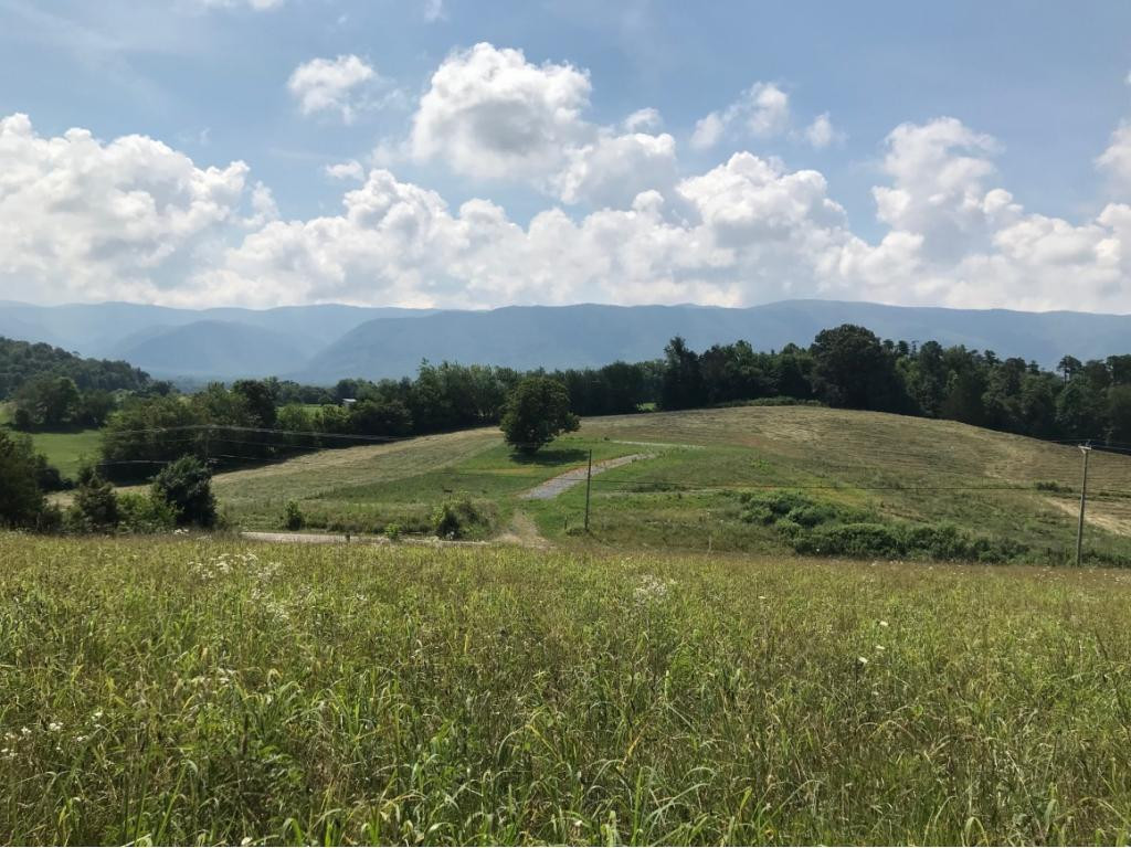 0 Greystone Road, Unit 1424 Greeneville, TN 37743 - Photo 6 of 9 Photo 6