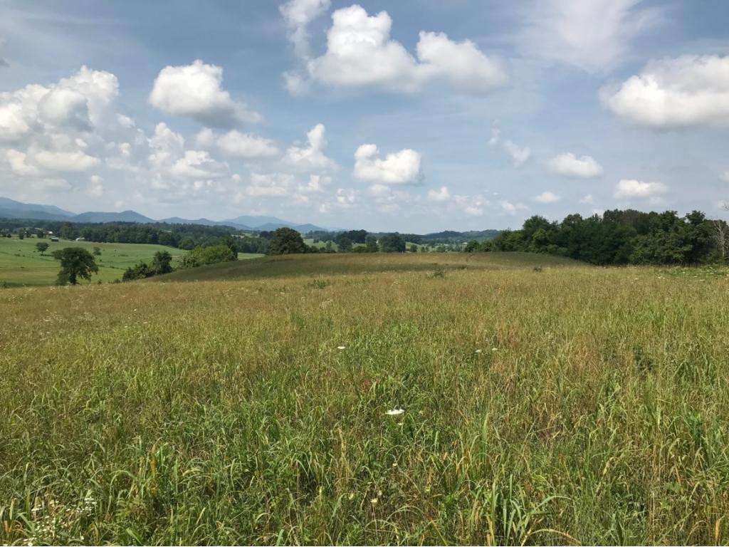 0 Greystone Road, Unit 1424 Greeneville, TN 37743 - Photo 7 of 9 Photo 7