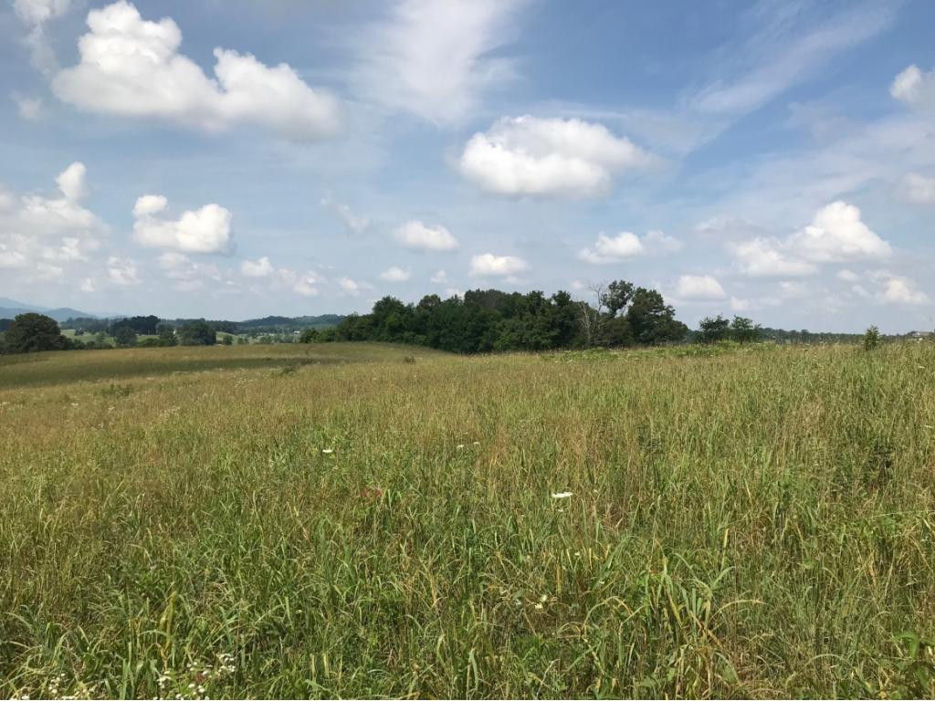 0 Greystone Road, Unit 1424 Greeneville, TN 37743 - Photo 8 of 9 Photo 8