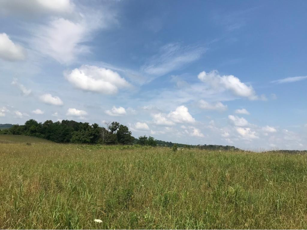 0 Greystone Road, Unit 1424 Greeneville, TN 37743 - Photo 9 of 9 Photo 9