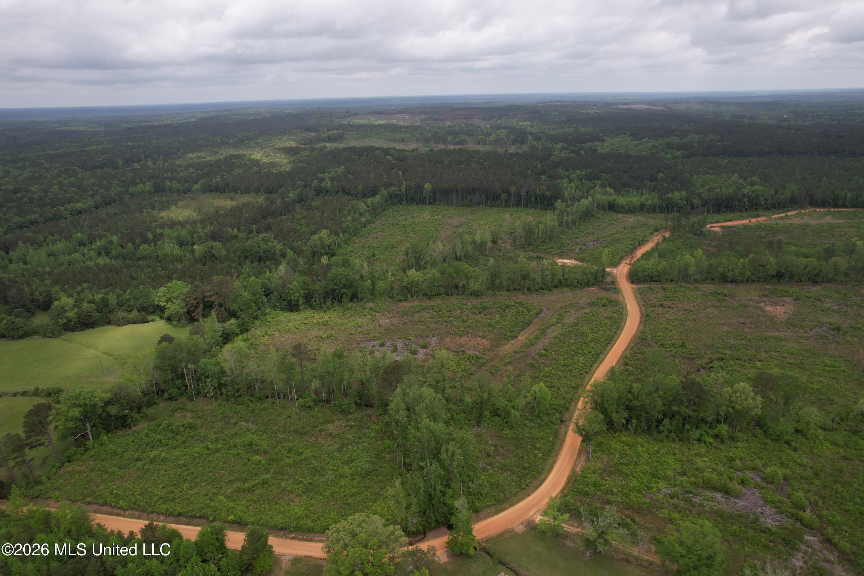 5223 County Road Ethel, MS 39067 - Photo 17 of 22 dji_fly_20260424_111412_105_177704768367