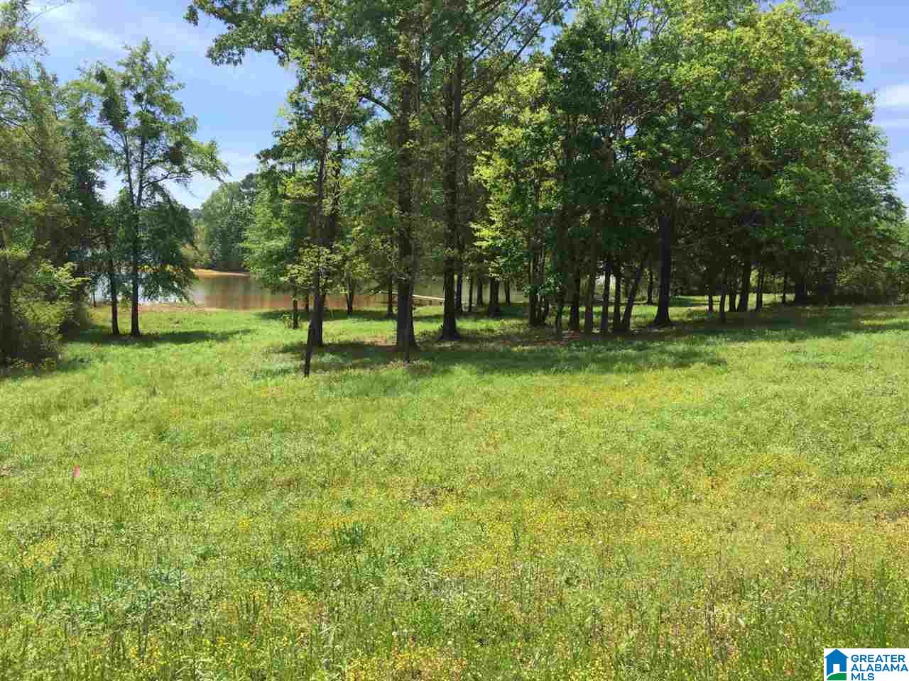 Ranch Marina Road Pell City, AL 35128 - Photo 8 of 8