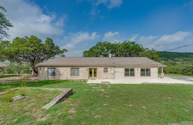 a view of a big yard with plants and large trees