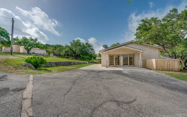 a view of a yard with plants and large tree