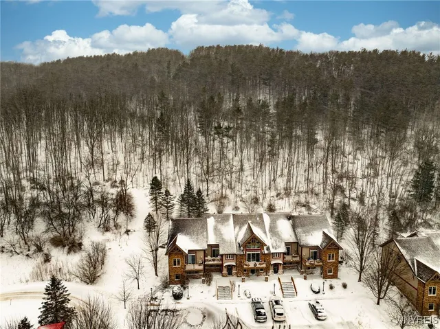 $495,000 | 1 Mountain View, Ellicottville, NY 14731