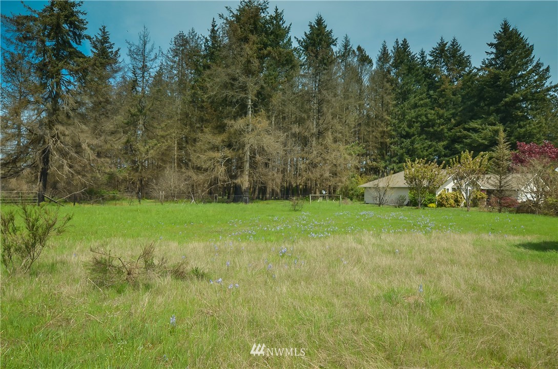 17745 Case Road Southwest Rochester, WA 98579 - Photo 23 of 25