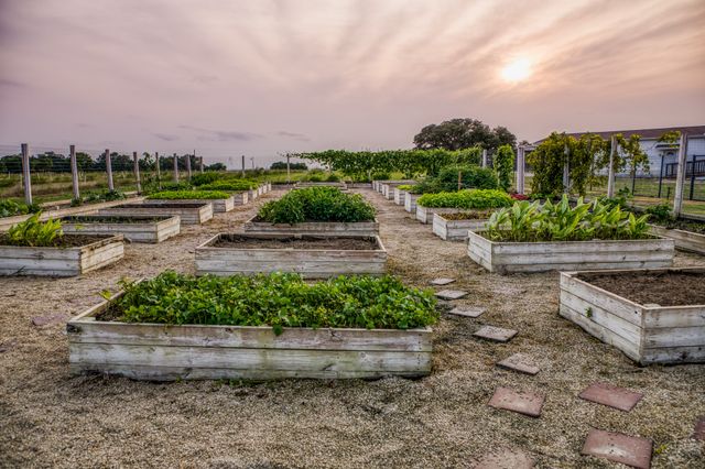 a view of a big house with a big yard and large trees