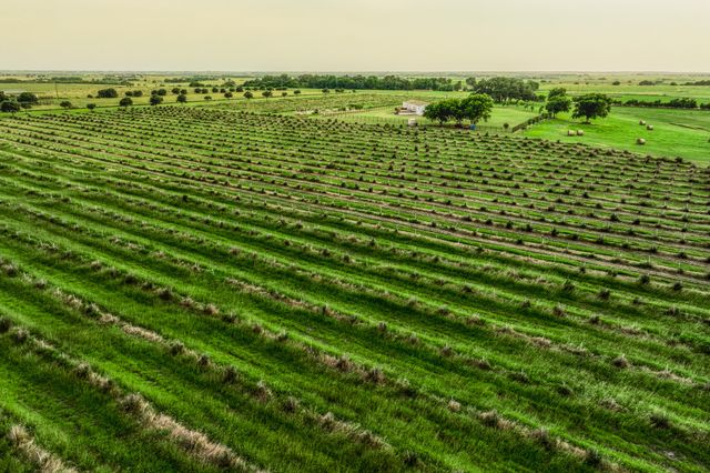 a view of a lake with houses