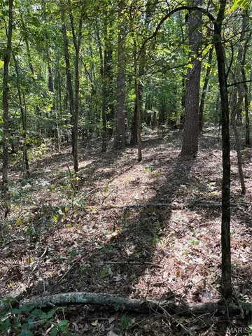 $29,500 | 0 Highway E Lowndes Mo 63951, Lowndes, MO 63951