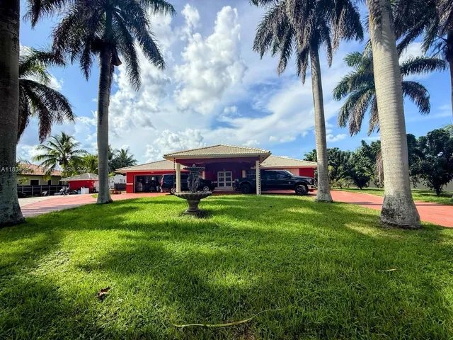 a view of yard with palm trees