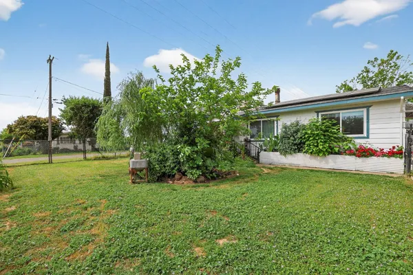 a view of a garden with plants