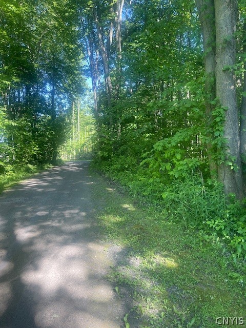 8 Brackett Road Hannibal, NY 13074 - Photo 15 of 50 long private driveway