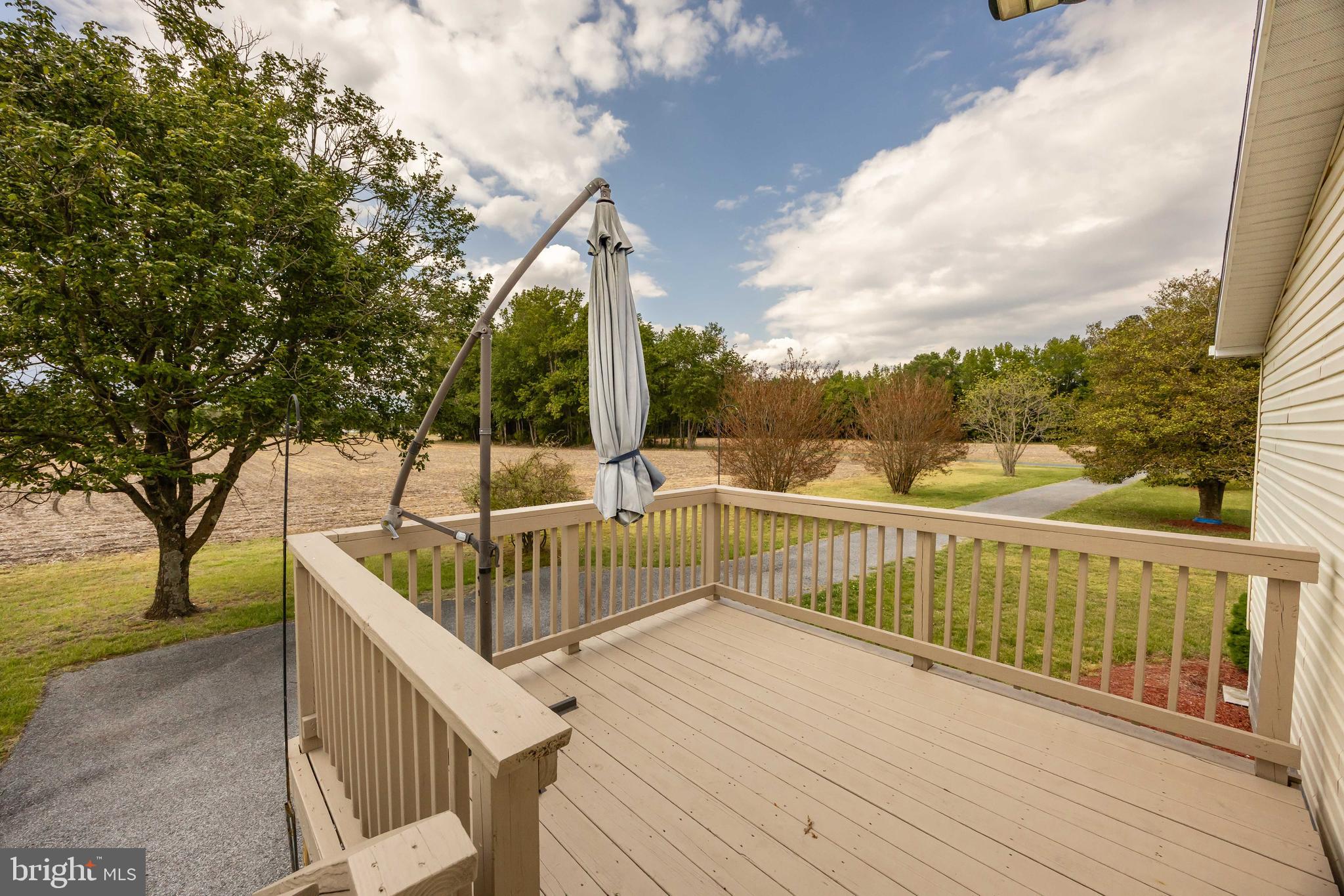 4258 Smith Road Salisbury, MD 21801 - Photo 7 of 43 a view of deck with trees and wooden fence