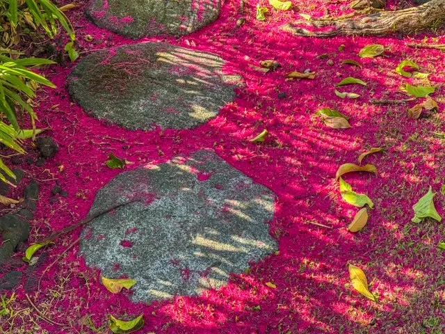 a living room with a couch wooden floor and a large window