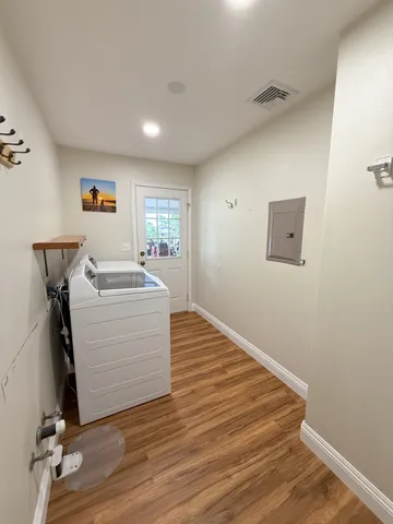 a picture of a palm tree