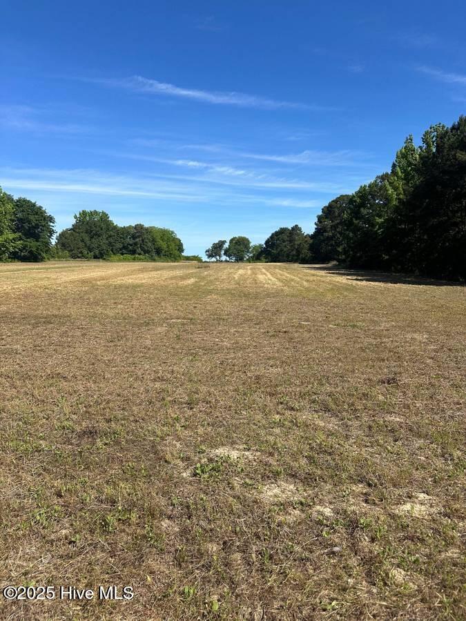 4351 Swift Creek School Road Whitakers, NC 27891 - Photo 12 of 14 Image 11