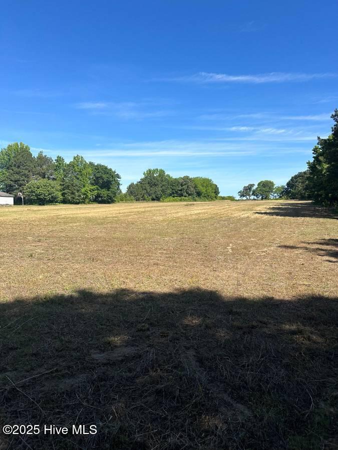 4351 Swift Creek School Road Whitakers, NC 27891 - Photo 13 of 14 Image 12