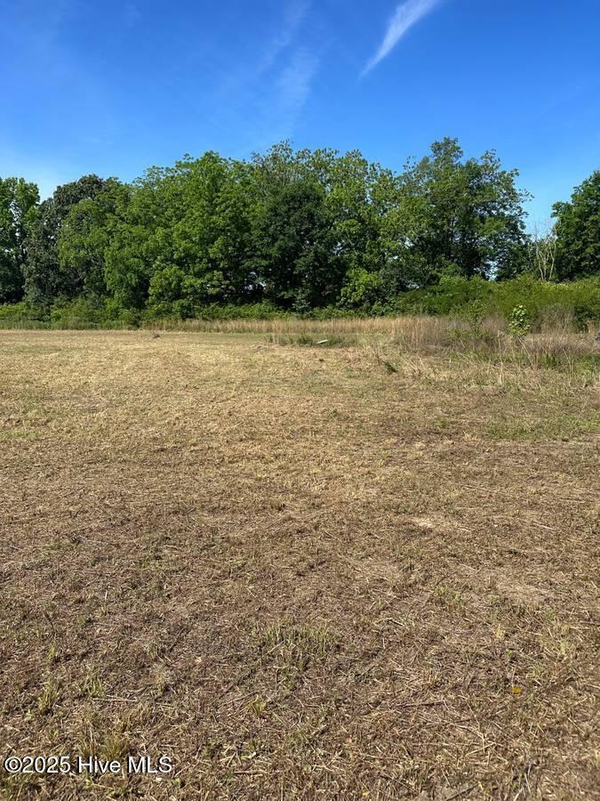 4351 Swift Creek School Road Whitakers, NC 27891 - Photo 5 of 14 Image 4