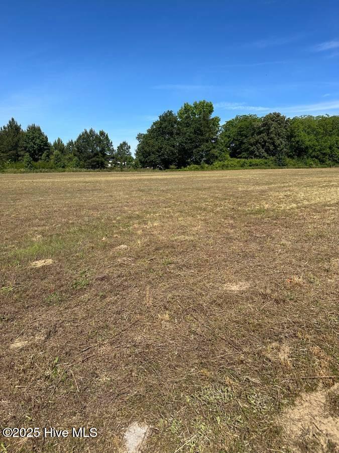 4351 Swift Creek School Road Whitakers, NC 27891 - Photo 8 of 14 Image 7