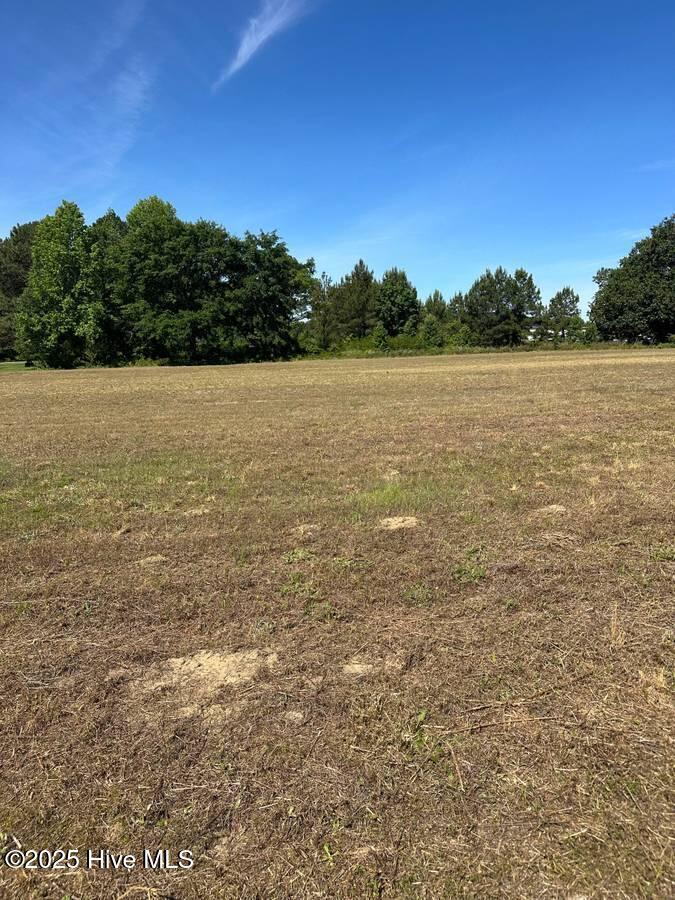 4351 Swift Creek School Road Whitakers, NC 27891 - Photo 9 of 14 Image 8