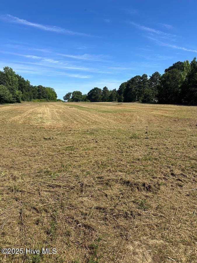 4351 Swift Creek School Road Whitakers, NC 27891 - Photo 10 of 14 Image 9