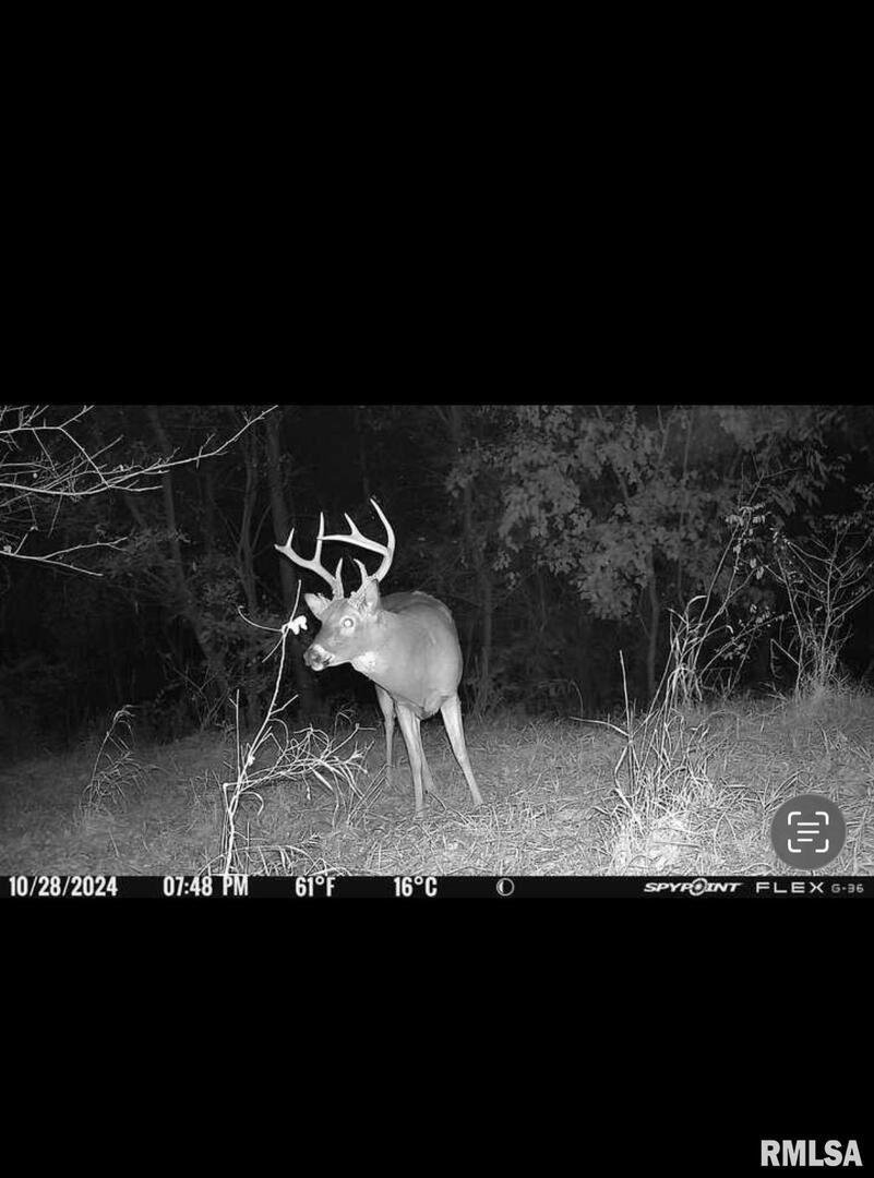 16379 Sand Road Fulton, IL 61252 - Photo 24 of 27 a black and white photo of a lake