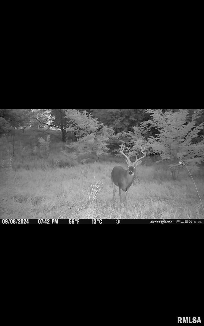 16379 Sand Road Fulton, IL 61252 - Photo 25 of 27