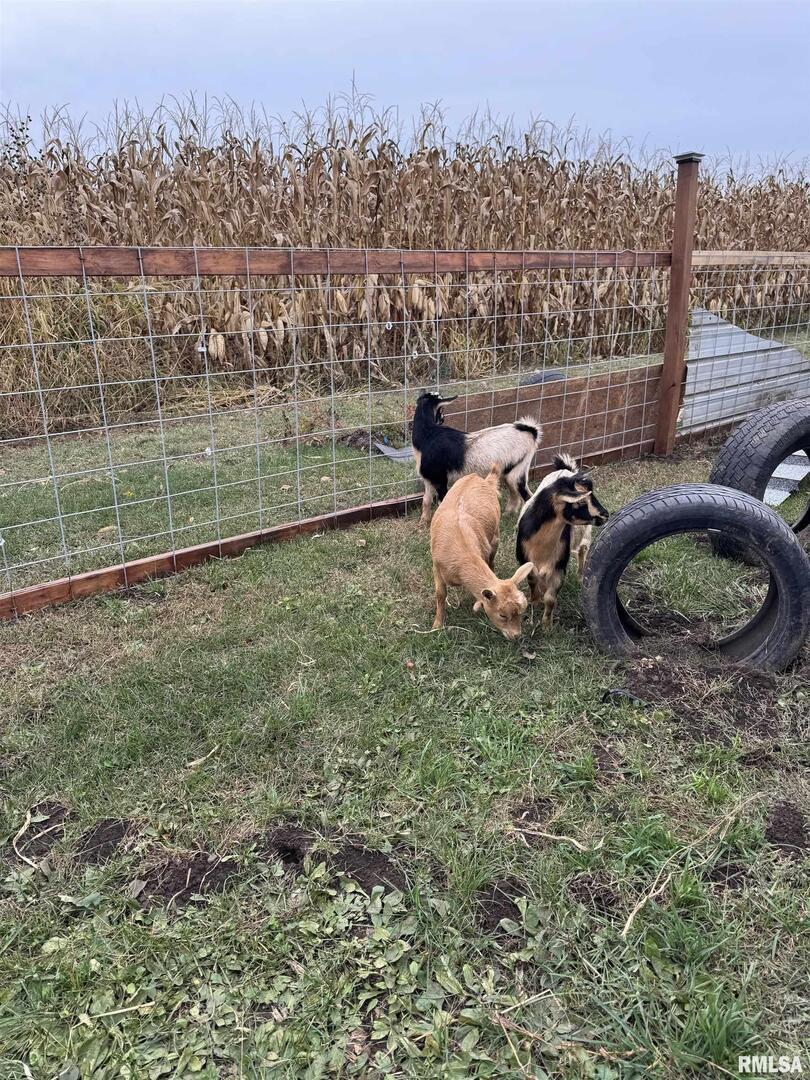 16379 Sand Road Fulton, IL 61252 - Photo 26 of 27 a backyard of a house with table and chairs