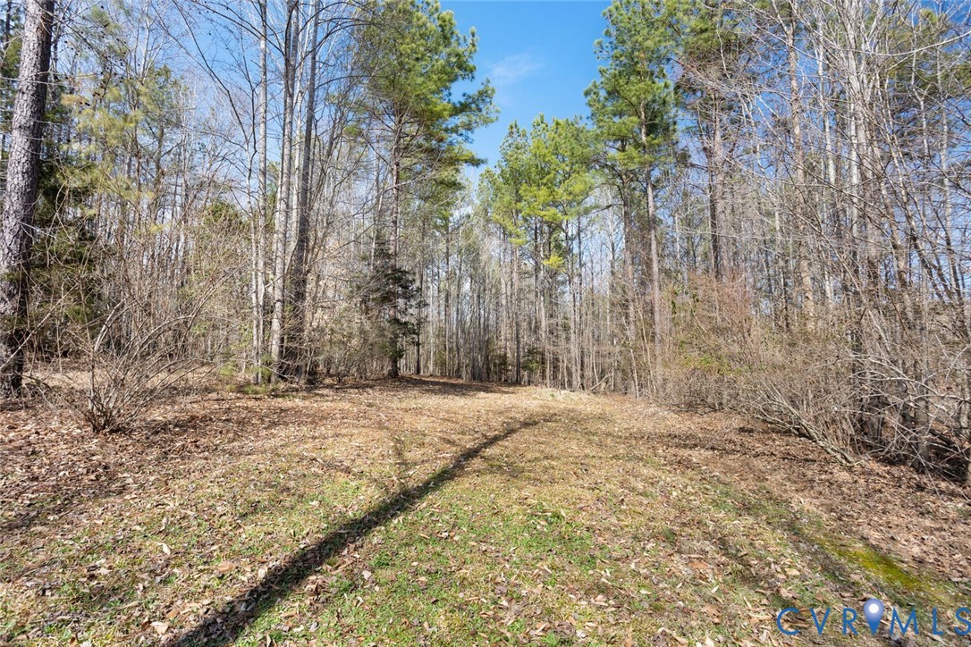 15650 River Road Chesterfield, VA 23838 - Photo 45 of 50