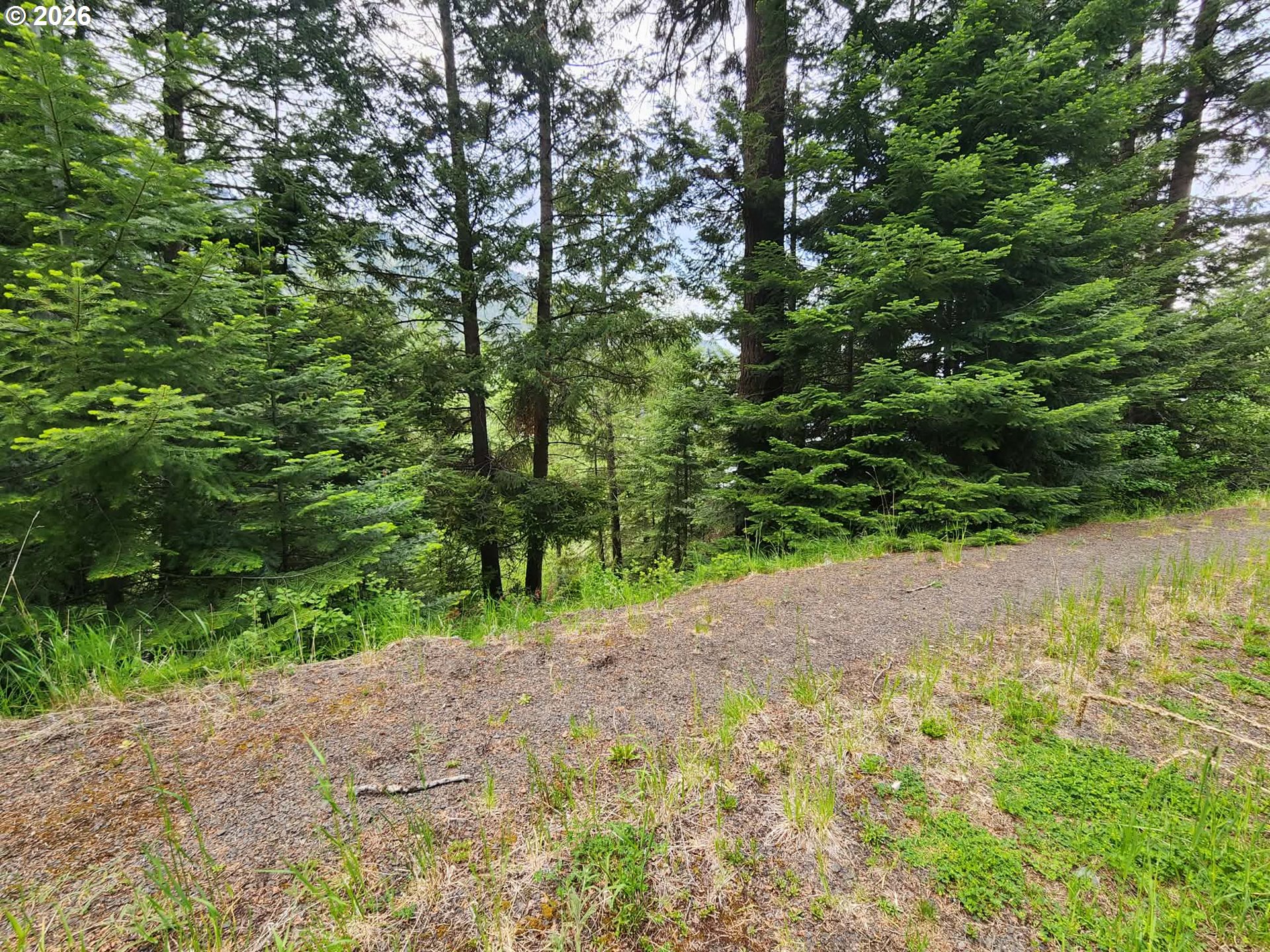 0 Forest Dell Road Joseph, OR 97846 - Photo 7 of 18