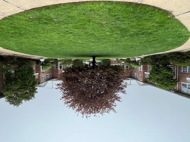 a view of a backyard with large trees