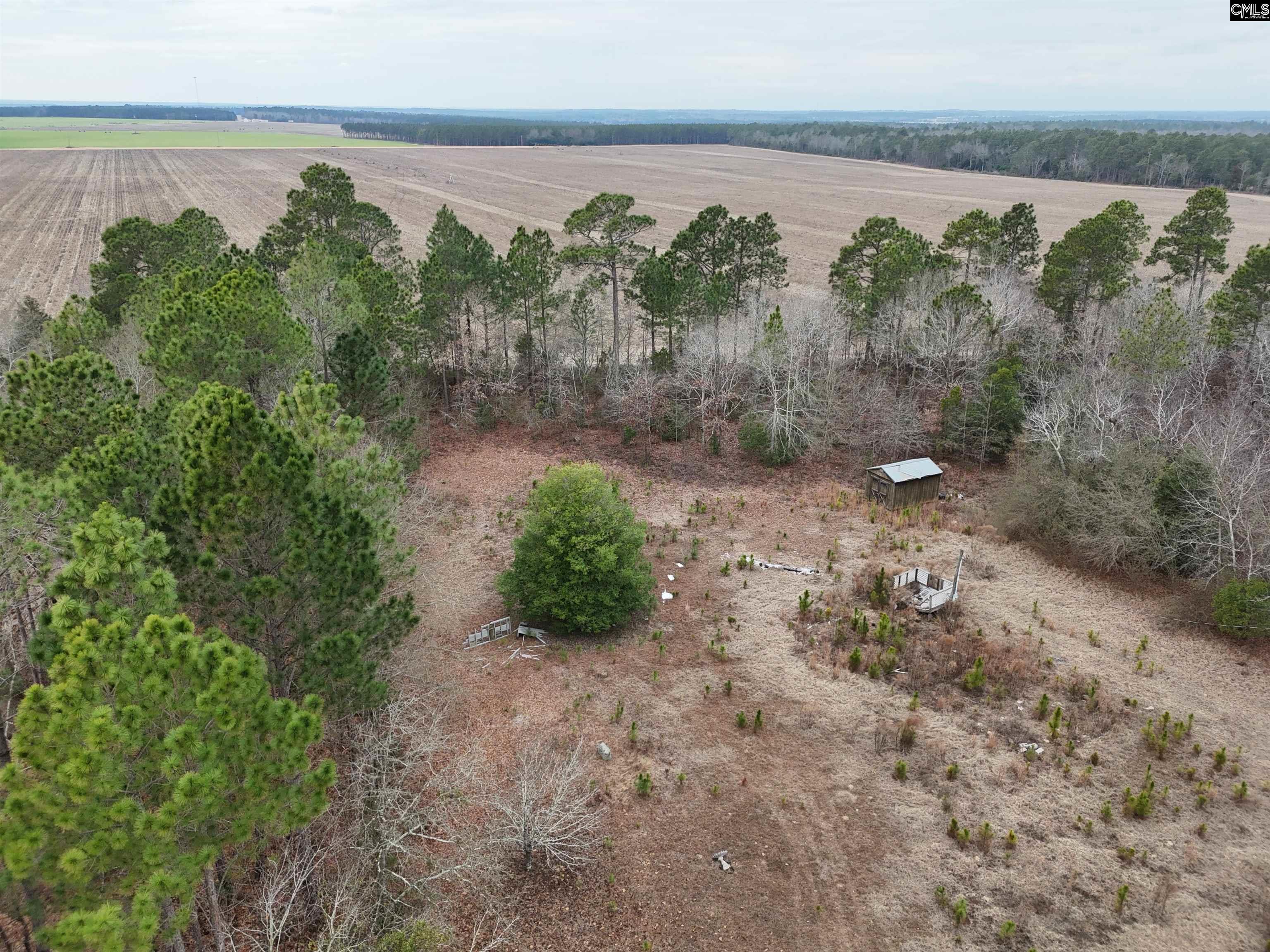 722 Jeff Sharpe Road Gaston, SC 29053 - Photo 3 of 18