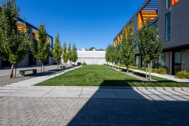 a view of backyard with plants and outdoor seating