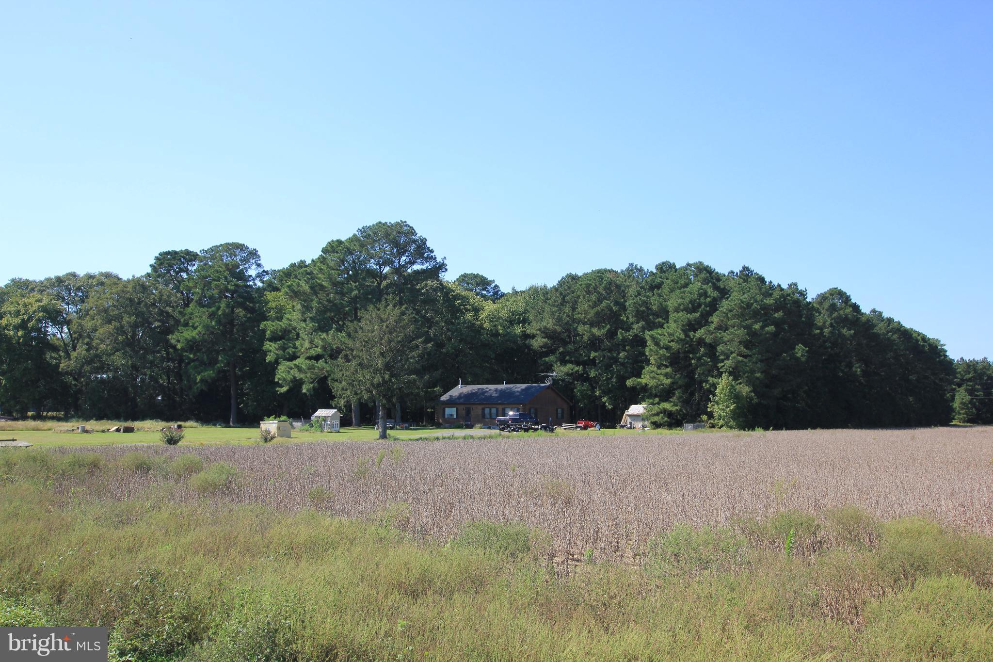 3306 Indian Bone Road Cambridge, MD 21613 - Photo 2 of 19