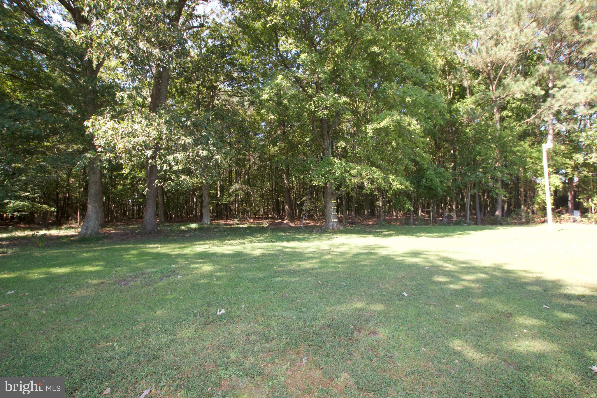 3306 Indian Bone Road Cambridge, MD 21613 - Photo 18 of 19