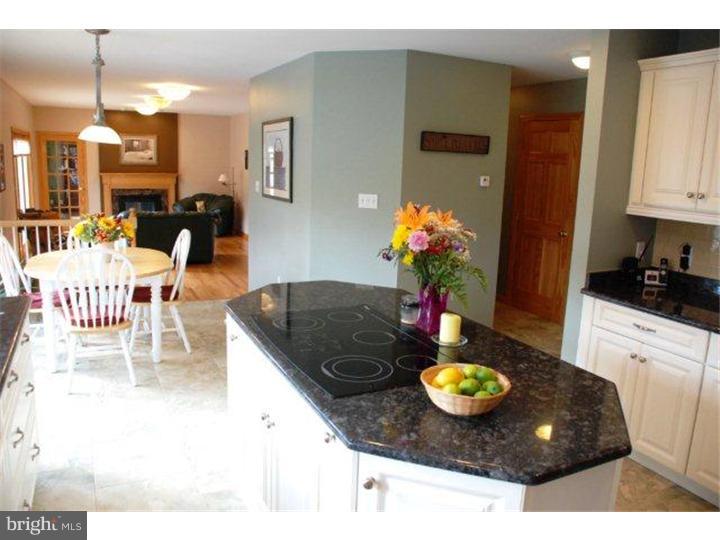3730 Apple Road Orefield, PA 18069 - Photo 12 of 25 Gallery Image 12