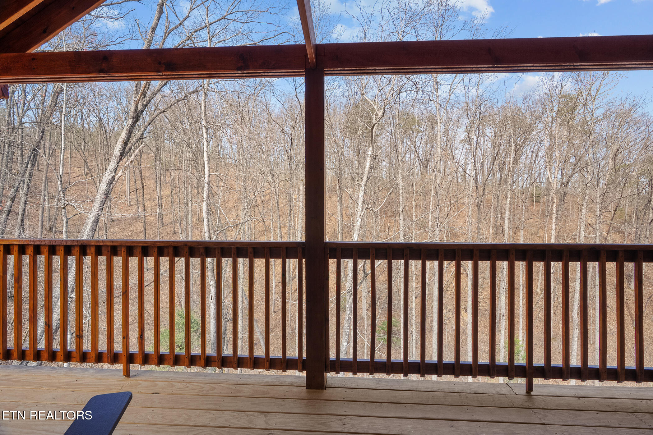 804 String Run Way Pigeon Forge, TN 37863 - Photo 19 of 33 dsc03132