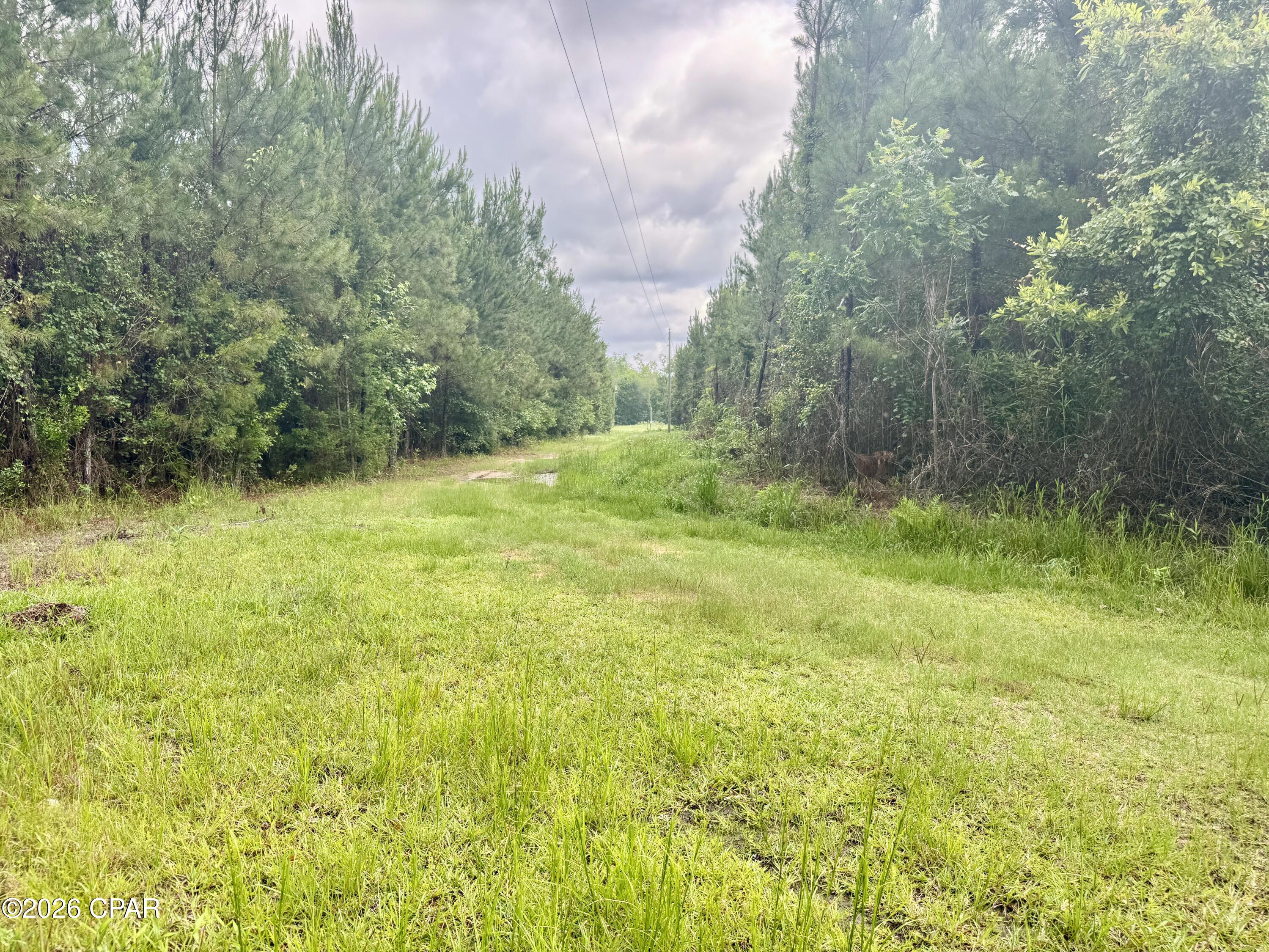 14567 C J Roberts Road Blountstown, FL 32424 - Photo 33 of 38
