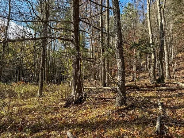 $198,900 | 119 Canisteo Ny 14823, Cameron, NY 14819