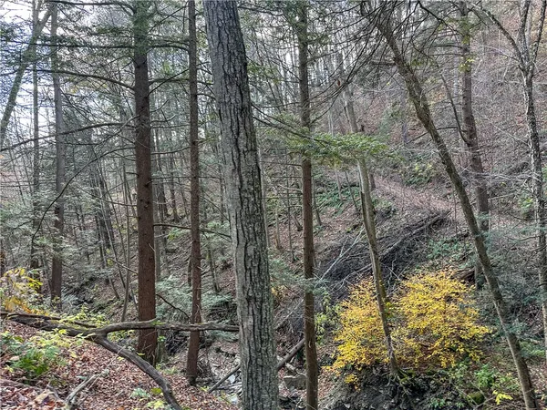 $198,900 | 119 Canisteo Ny 14823, Cameron, NY 14819