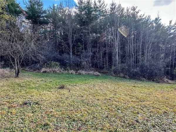 $198,900 | 119 Canisteo Ny 14823, Cameron, NY 14819