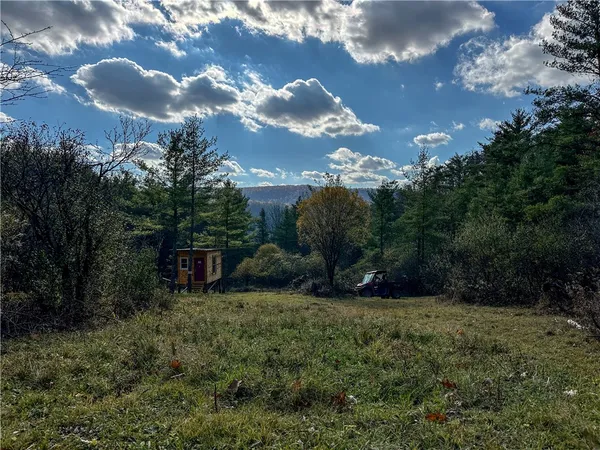 $198,900 | 119 Canisteo Ny 14823, Cameron, NY 14819