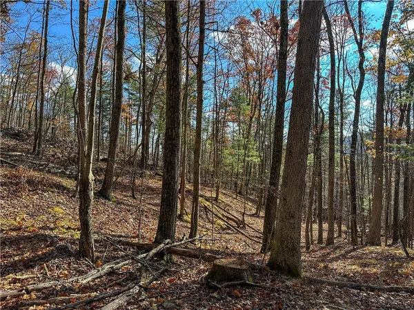 $198,900 | 119 Canisteo Ny 14823, Cameron, NY 14819