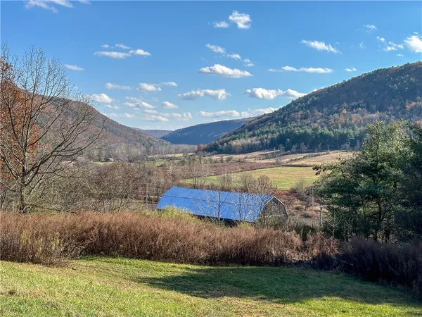 $198,900 | 119 Canisteo Ny 14823, Cameron, NY 14819